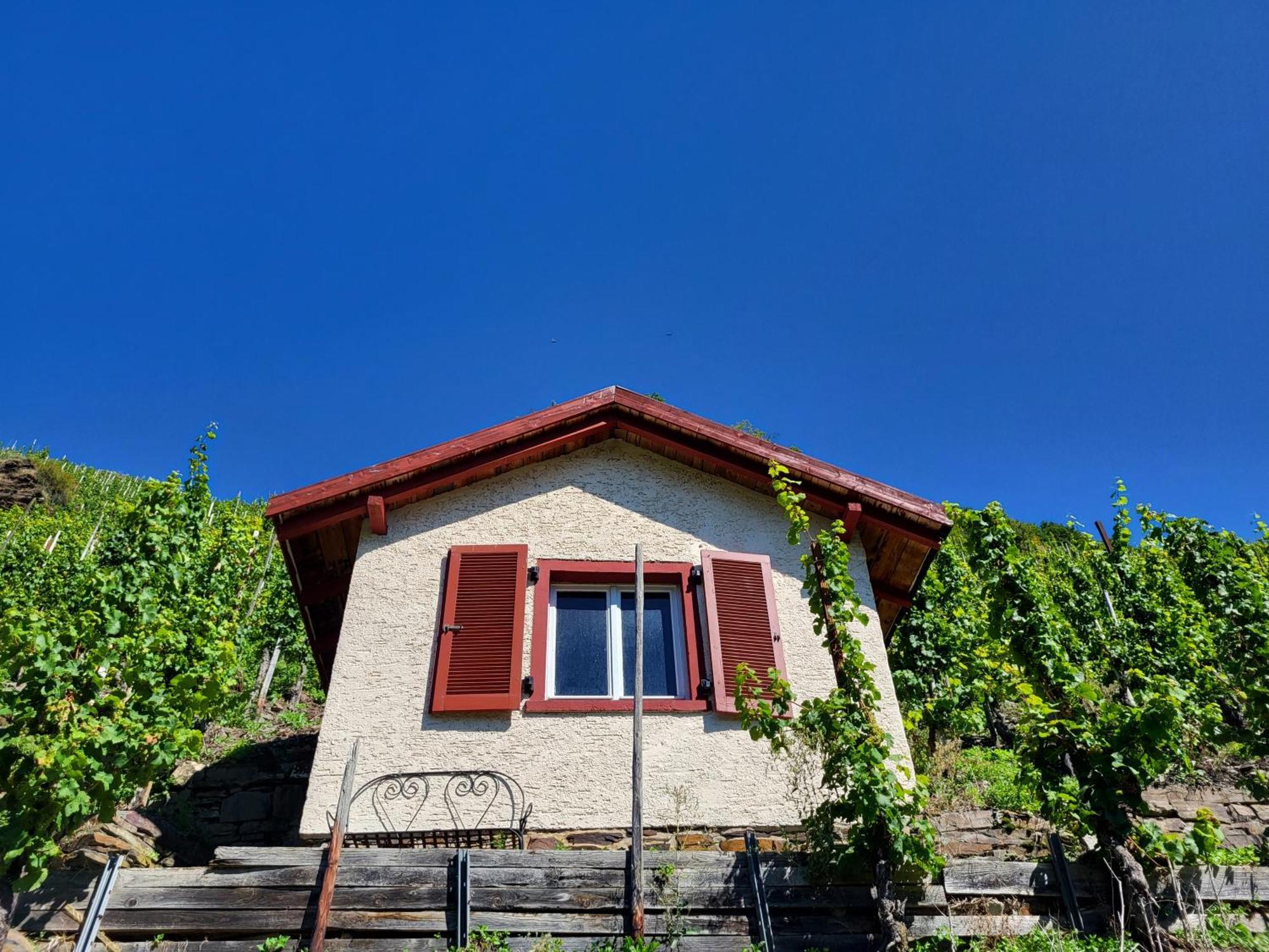 Ferienhaus-Am-Alten-Stadttor Ediger-Eller Dış mekan fotoğraf
